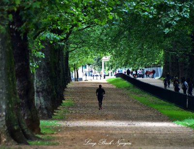 Jogging in Green Park London 325 