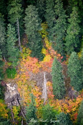 Fall Foliage in Cascade Mountain Washington 196  