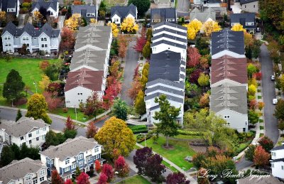 Fall Foliage on Beacon Hill 059 