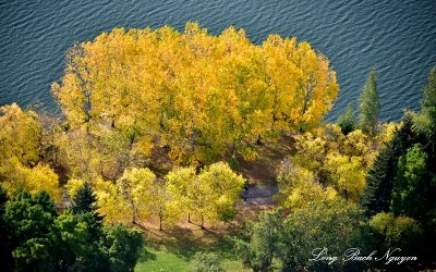 Fall Foliage on Greenlake Seattle 127  