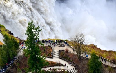 Snoqualmie Falls Salish Lodge Snoqualmie River Washington 444 