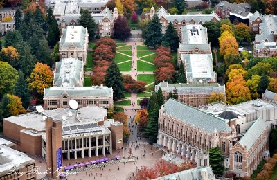 Fall Colors on the University of Washington Campus Seattle 817  