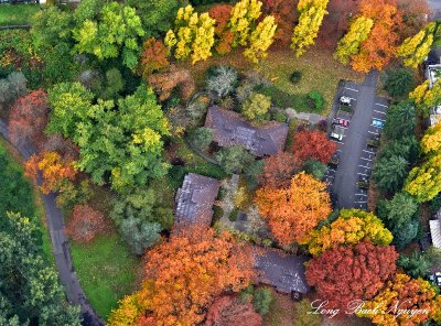 Autumn and fall colors at Talaris Institute Seattle 838  