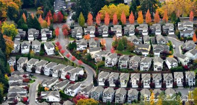 Fall Colors in neatly packed neighborhood Washington 756 
