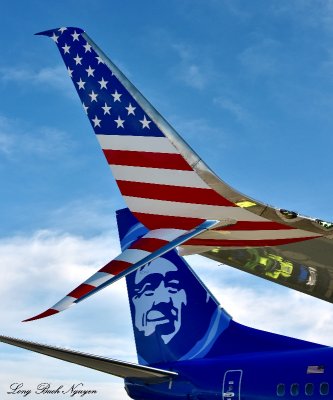 Alaska Airlines Boeing 737-900 Honoring Those Who Serve and Winglets 216  