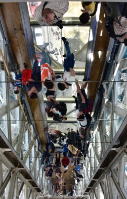 Glass Ceiling of Tower Bridge Walkway London 372  