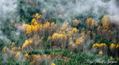 Fall Foliage  Above Washington State 2016