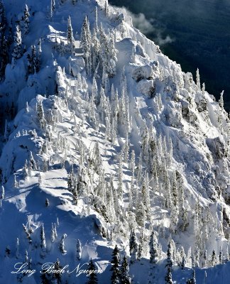 Landscape on western flank of Mount Jupiter Olympic Mountains 119