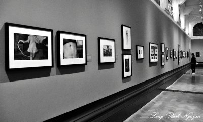 Photography Section of Victoria and Albert Museum London 338  