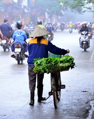 Selling vegetable off bicycle in Hanoi Vietnam 473  