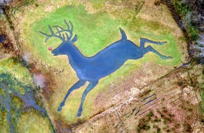 Rudolph The Red Nose Reindeer Vashon Island 019  