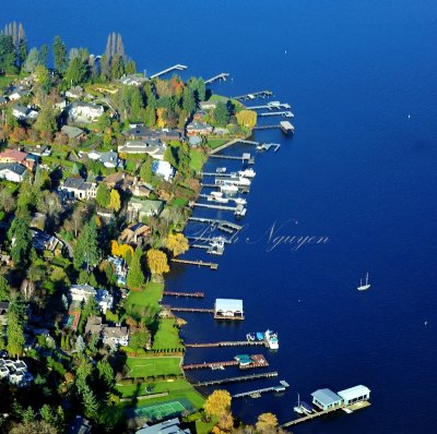 Houses along Lake Washington 055  