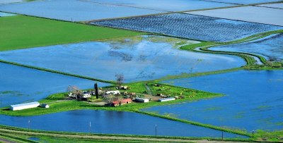 Farm in Flooded Rice Fields in American Basin Sacramento California 083 