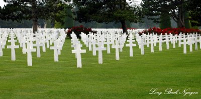 crosses and roses, Normandy American Cemetery, Colleville-sur-Mer, France
