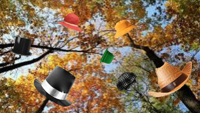 hattree.jpg