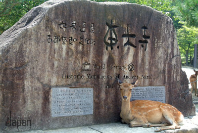 World Heritage of Nara