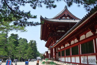 Todaiji Temple Main gate