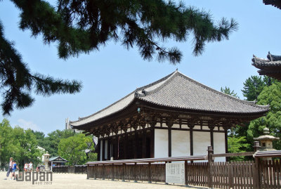 The Eastern Golden Hall, Kofukuji Temple