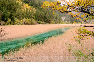 Reed Lake
