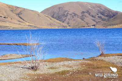 Lake Coleridge