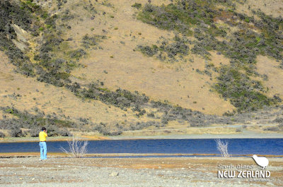 Lake Coleridge