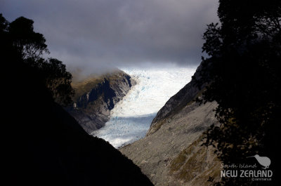 Fox Glacier