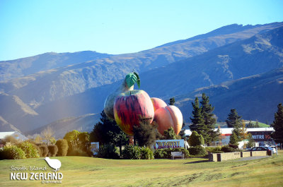 The giant sculpture of stone fruit - Cromwell