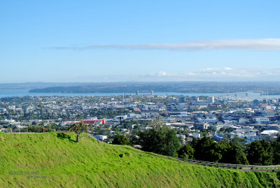 View of Auckland from Mt. Eden