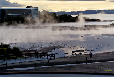 Lake Rotorua, front of Sudima Hotel