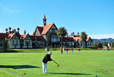 Croquet in sunny day