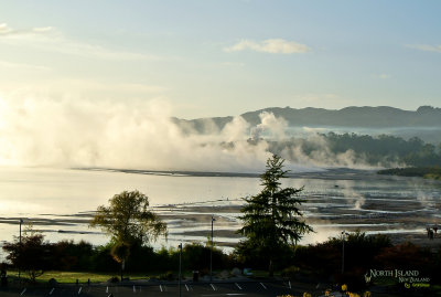 Lake Rotorua, from Millenium hotel 