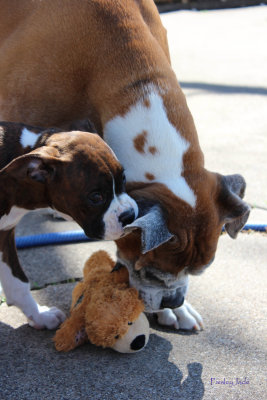 Zoe and Chance