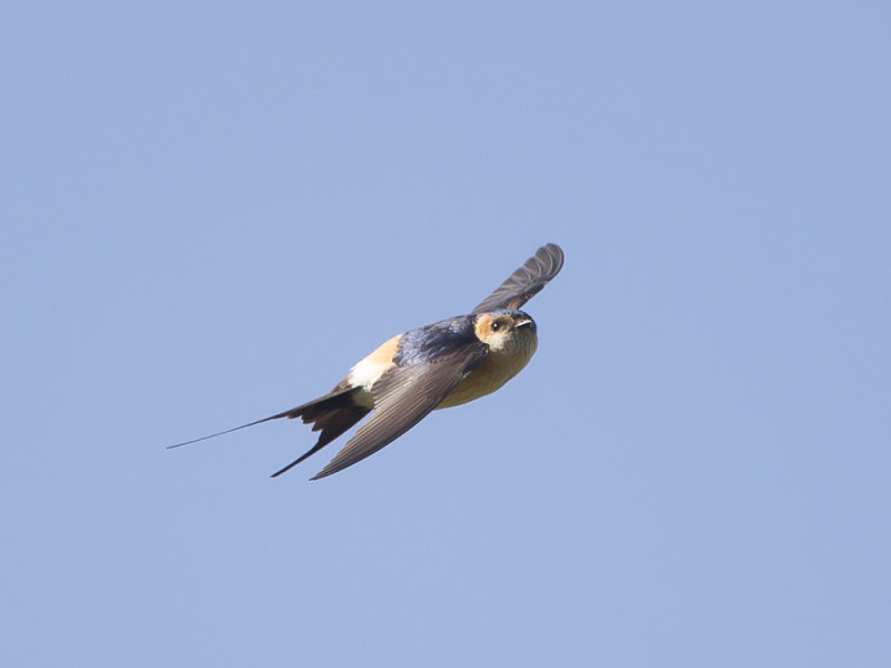 BH4U6608.jpg