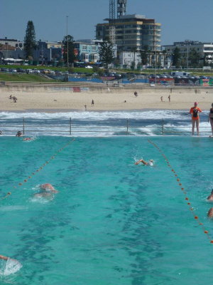 P1030993 - Bondi Icebergers.JPG