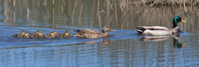 Graaand-0200_0083.jpg