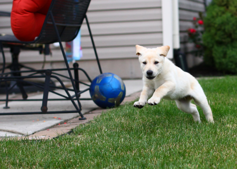 June 15 2013-0260.jpg