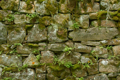 Mill wall Judith Mountains-9321.jpg