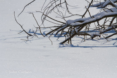 Winter pond-6284.jpg