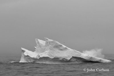 iceberg-2950.jpg