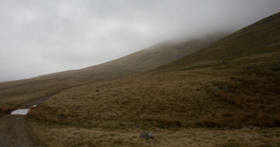 IMG_5240.jpg