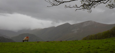 IMG_5398.jpg