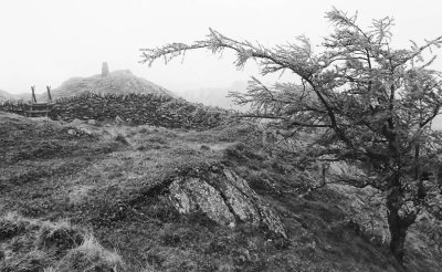 P5040857-Edit.jpg
