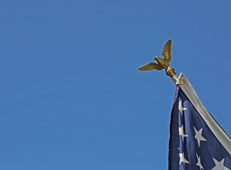 Freedoms Flight