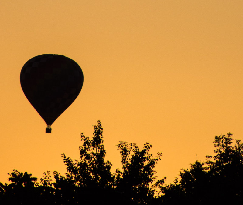 Sunset Flight