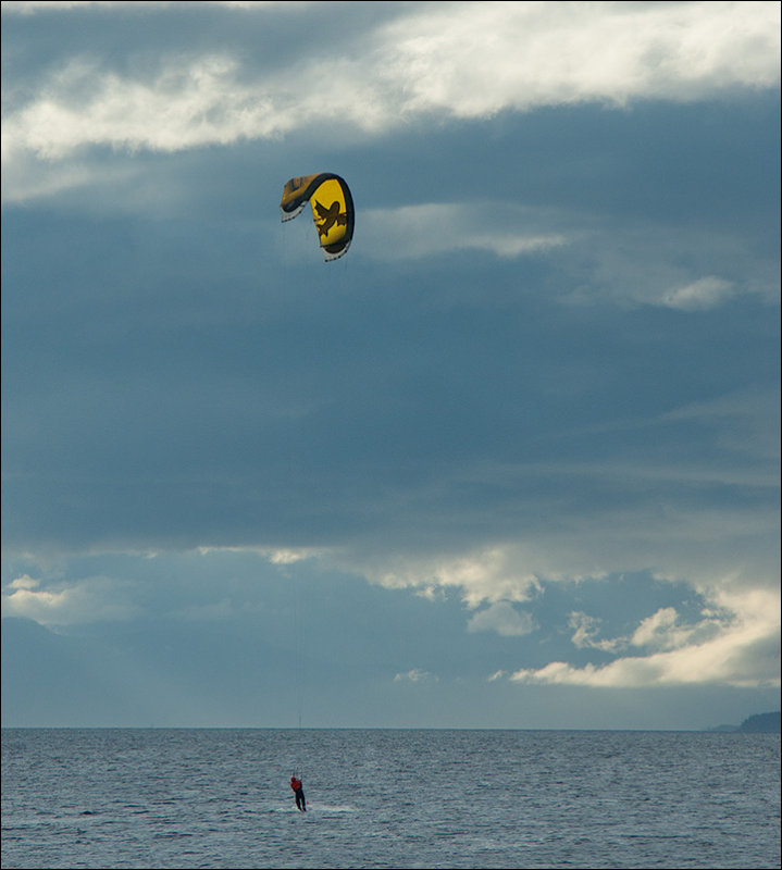 Little Yellow Sail