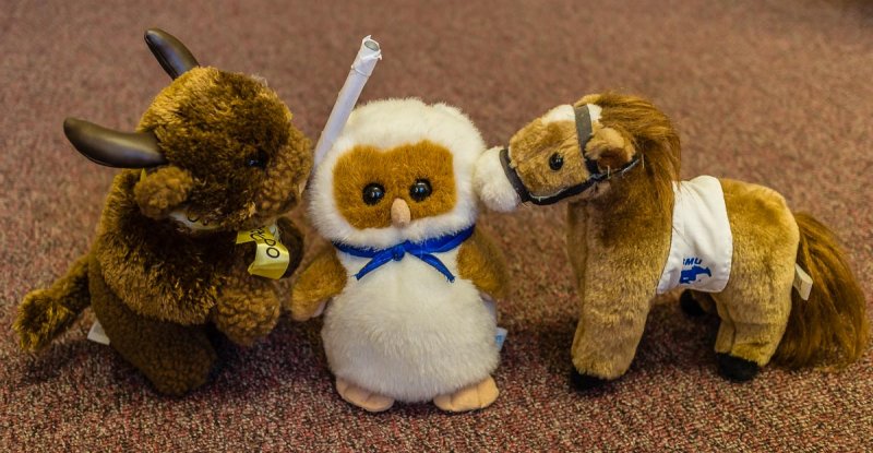 Mustangs and Owls and Buffaloes, Oh My!
