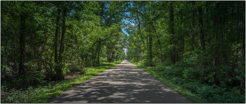 5th Place: Bayou Paquet Road