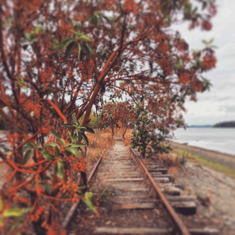 Secret Way Home