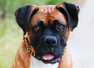A Face Only a Mother Could Love