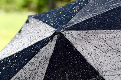 Spring Showers